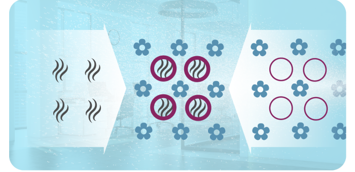 Contrôle des odeurs Age Home